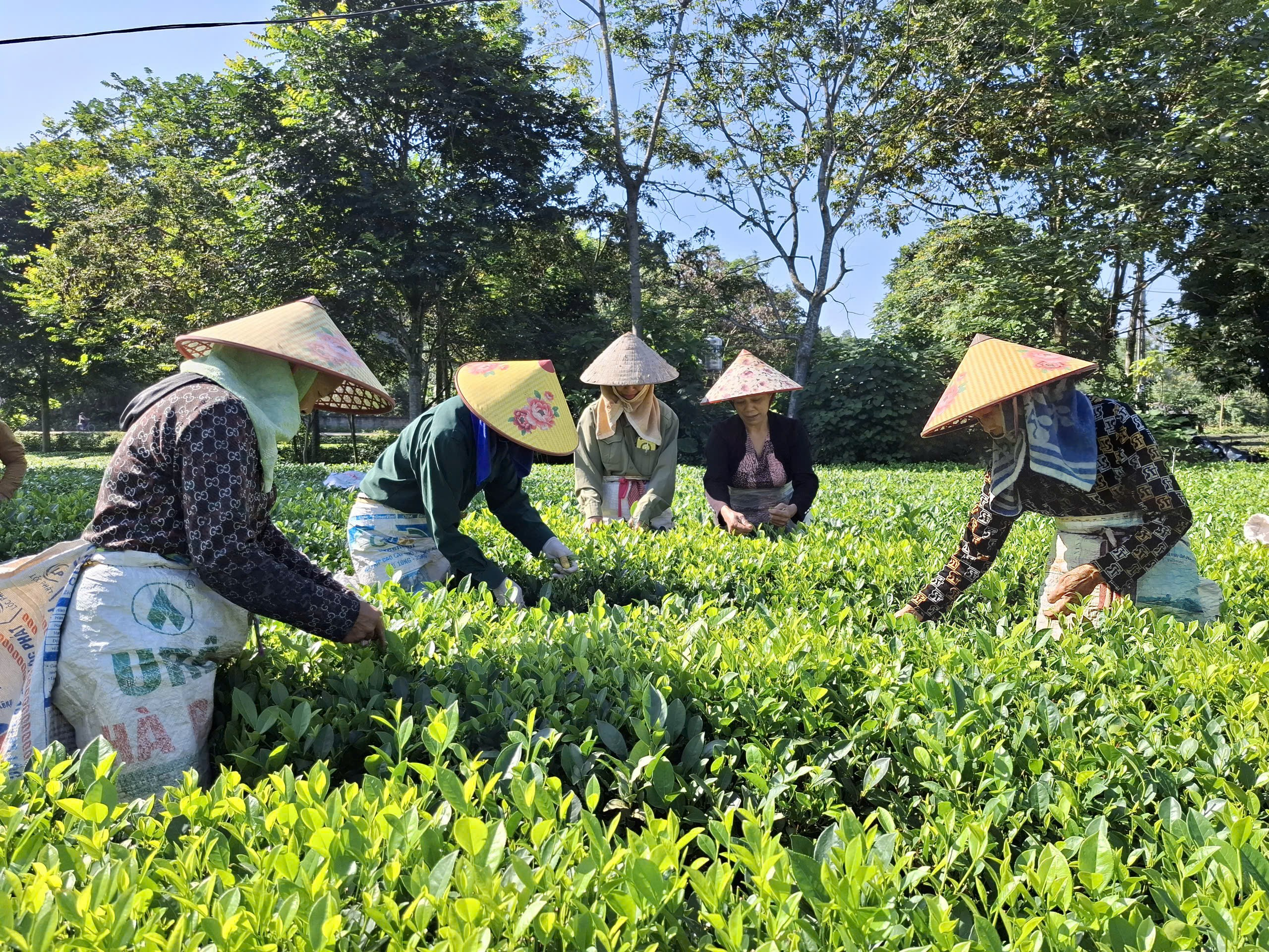 Người phụ nữ thay đổi định kiến, xóa tan kỳ thị về HIV/AIDS ở Đồng Hỷ - Ảnh 15.