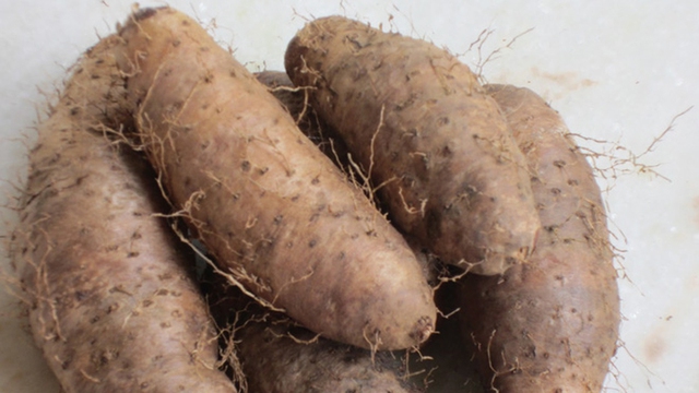 Ăn loại củ này hỗ trợ chữa viêm đường hô hấp - Ảnh 3.