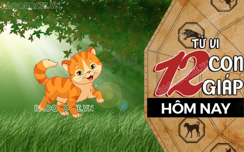 Tử vi hôm nay, xem tử vi 12 con giáp hôm nay ngày 11/12/2025: Tuổi Mão tài chính biến động