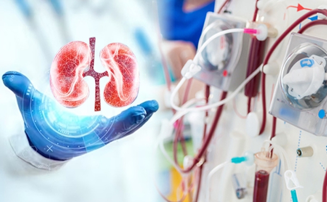 Loại củ mùa đông bán rẻ ở chợ Việt nhưng người bệnh suy thận cần hiểu rõ điều này - Ảnh 2.