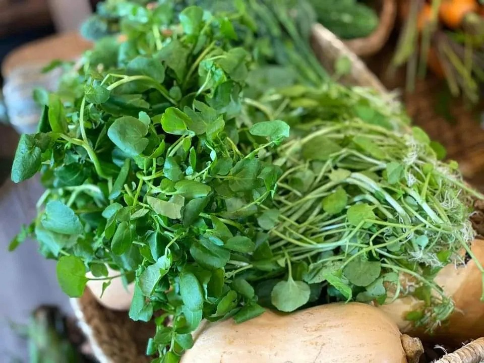 Cải xoong - siêu thực phẩm hỗ trợ phòng ung thư , giá rẻ ở chợ Việt - Ảnh 1.