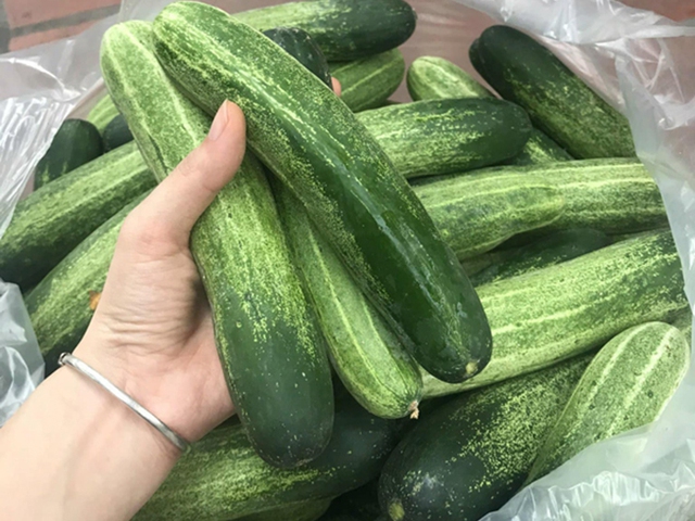 Người phụ nữ 66 tuổi ăn dưa chuột mỗi ngày , sức khỏe bất ngờ cải thiện sau 3 tháng - Ảnh 3.