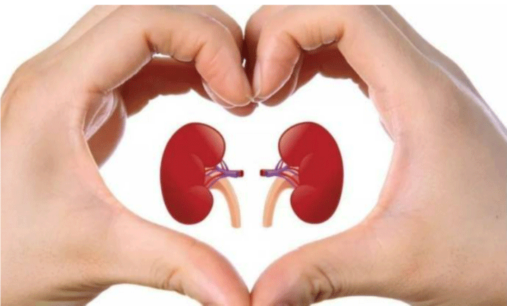 Suy thận không tự nhiên mà có: 6 bệnh đang âm thầm phá hủy chức năng thận của bạn - Ảnh 3. Suy thận không tự nhiên mà có: 6 bệnh đang âm thầm phá hủy chức năng thận của bạn - Ảnh 3.