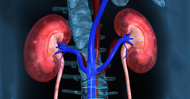 8 dấu hiệu bệnh suy thận, người Việt cần biết để phòng bệnh từ sớm - Ảnh 1. 8 dấu hiệu bệnh suy thận, người Việt cần biết để phòng bệnh từ sớm - Ảnh 1.