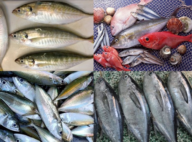 Nguyên tắc vàng trong ăn uống mùa Tết giúp bạn khỏe mạnh  - Ảnh 4.