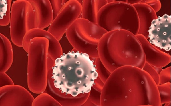 Thực phẩm làm tăng nguy cơ hình thành tế bào ung thư đại trực tràng, người Việt không nên lạm dụng - Ảnh 2.