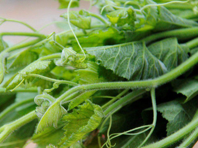 4 loại rau ở Việt Nam là “kho sắt xanh”, bổ máu hơn cả thịt bò: Top 1 tốt cho cả tim và dạ dày, nhiều người chê không ăn - Ảnh 2. 4 loại rau ở Việt Nam là “kho sắt xanh”, bổ máu hơn cả thịt bò: Top 1 tốt cho cả tim và dạ dày, nhiều người chê không ăn - Ảnh 2.