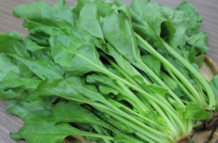 4 loại rau ở Việt Nam là “kho sắt xanh”, bổ máu hơn cả thịt bò: Top 1 tốt cho cả tim và dạ dày, nhiều người chê không ăn - Ảnh 3. 4 loại rau ở Việt Nam là “kho sắt xanh”, bổ máu hơn cả thịt bò: Top 1 tốt cho cả tim và dạ dày, nhiều người chê không ăn - Ảnh 3.