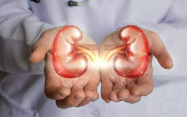 5 dấu hiệu cho thấy thận của nam giới khỏe mạnh: Bạn có bao nhiêu? - Ảnh 3.