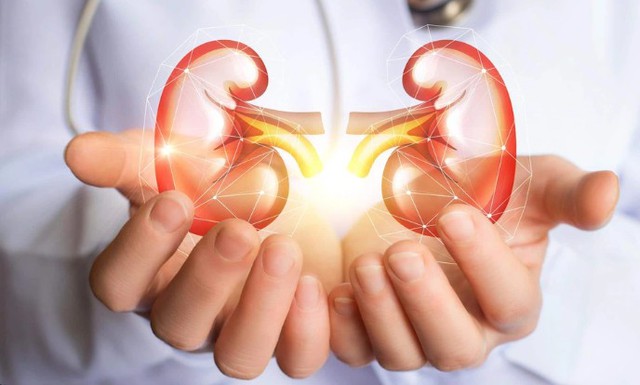 Loại rau mát bổ nhưng tăng gánh nặng cho thận, người bệnh suy thận nếu ăn cần phải đúng cách - Ảnh 1. Loại rau mát bổ nhưng tăng gánh nặng cho thận, người bệnh suy thận nếu ăn cần phải đúng cách - Ảnh 1.