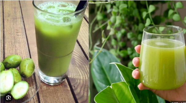 Cách làm nước ép cóc uống tăng cường miễn dịch - Ảnh 3.