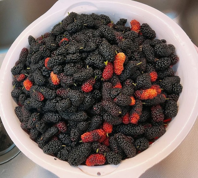 Cách ngâm dâu tằm lâu không mốc hỏng và lên men cho Mùa hè 2026 - Ảnh 3.