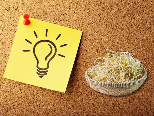 Giá đỗ: Siêu thực phẩm bổ xương và tốt cho tim mạch trong Năm 2026 - Ảnh 4.