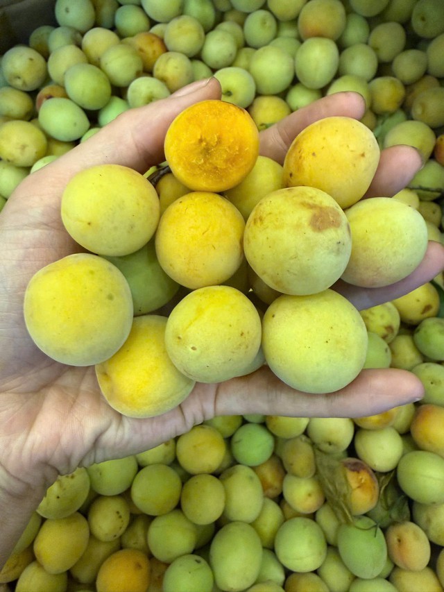 Mùa mơ má đào: Bí quyết ngâm mơ ngon, không nổi váng, giải nhiệt cả mùa hè - Ảnh 2.