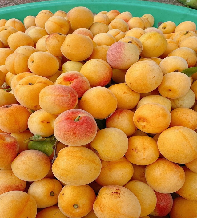 Mùa mơ má đào: Bí quyết ngâm mơ ngon, không nổi váng, giải nhiệt cả mùa hè - Ảnh 3.