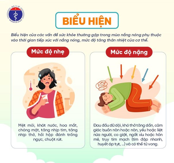Liên tiếp nhập viện vì sốc nhiệt: Hôn mê sâu, suy đa tạng sau khi làm việc ngoài trời nắng nóng - Ảnh 3.