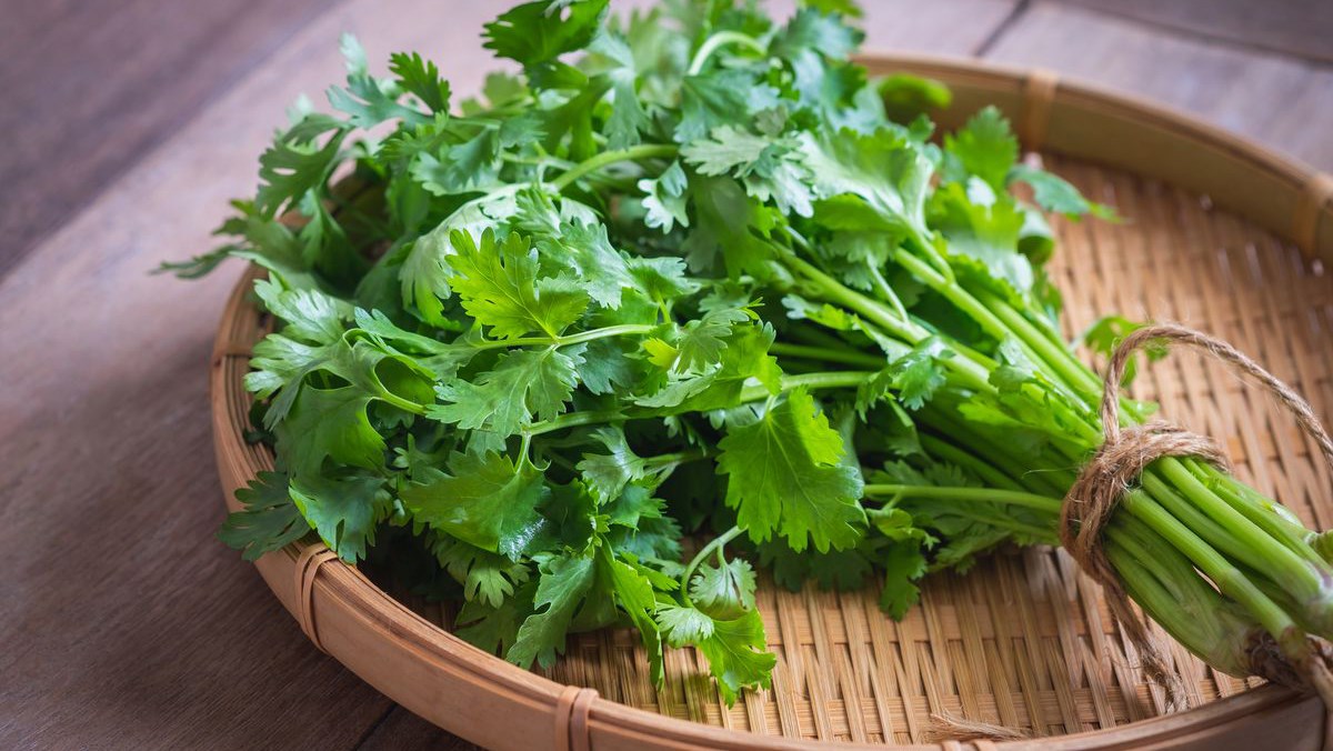 5 Lọai rau thơm qúy giá bảo vệ sức khỏe tim mạch và phòng ngừa ung thư - Ảnh 2.