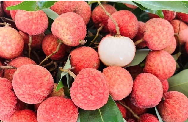 Ăn vải đúng cách để không gây hại sức khỏe và kiểm soát đường huyết - Ảnh 3. Ăn vải đúng cách để không gây hại sức khỏe và kiểm soát đường huyết - Ảnh 3.